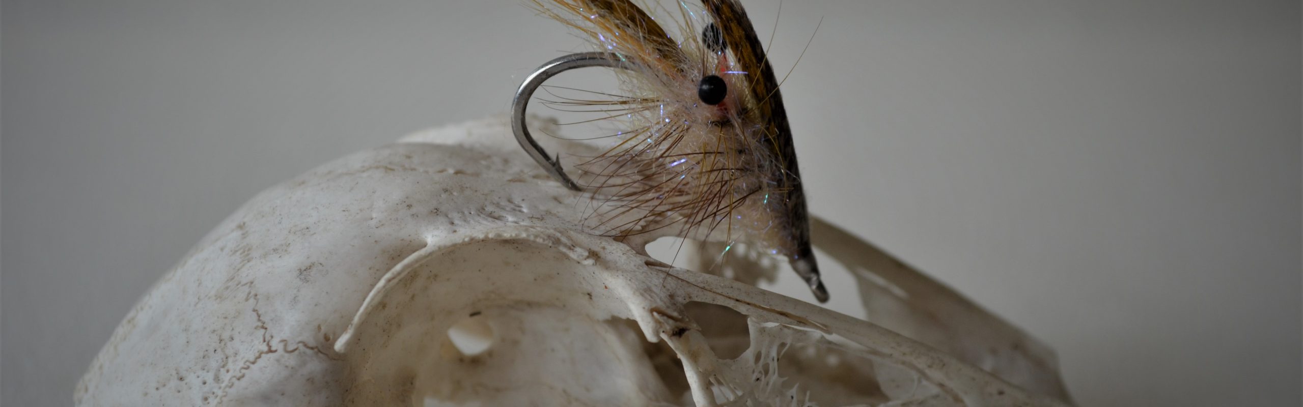 Fly fishing for sea trout